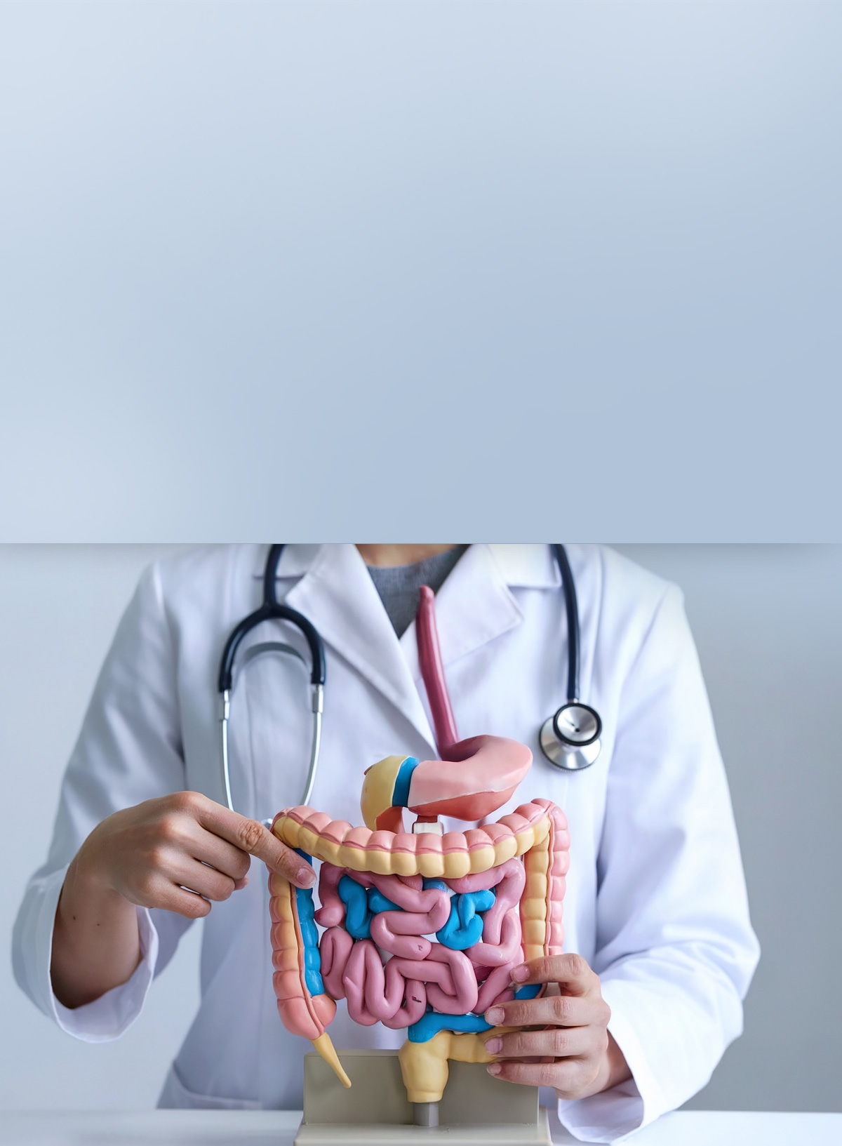 gastroeneterologia-mobile