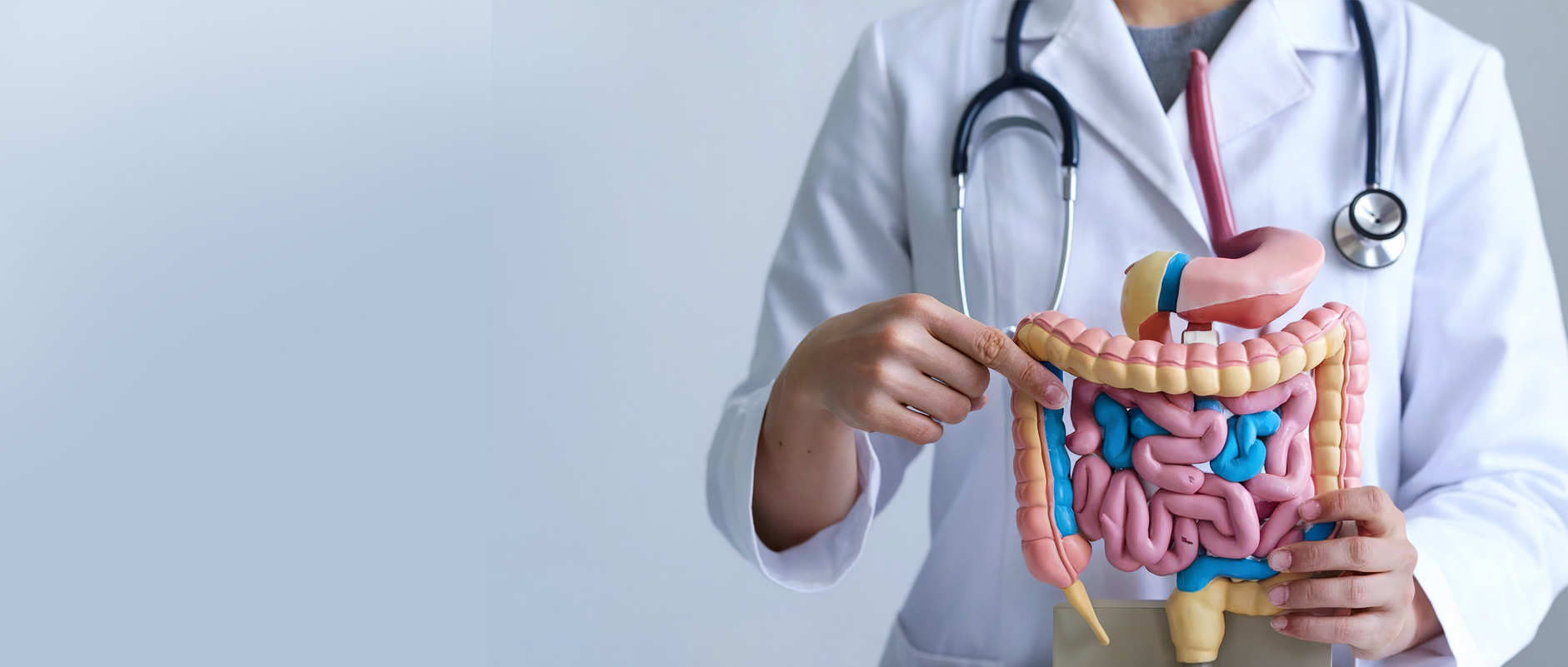 gastroeneterologia gastroeneterologia