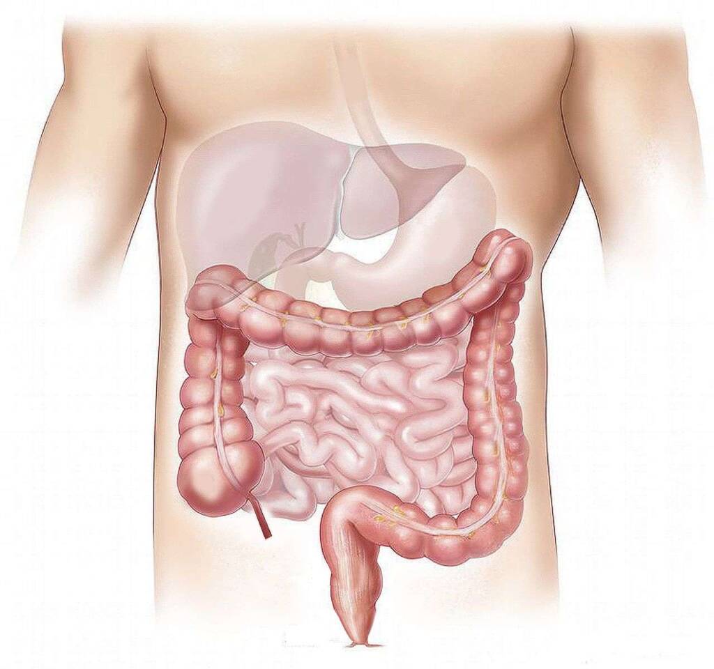 _Gastroenterologia_milano